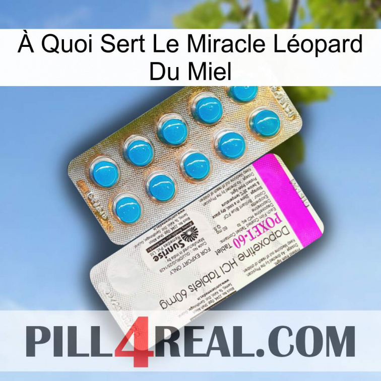 À Quoi Sert Le Miracle Léopard Du Miel new07